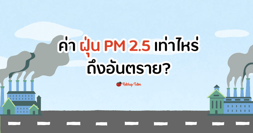 ค่า ฝุ่น PM 2.5 เท่าไหร่ถึงอันตราย?