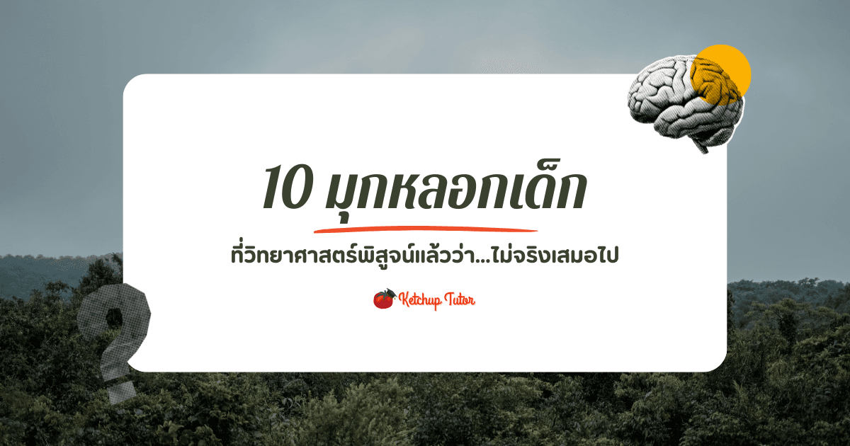 10 มุกหลอกเด็ก ที่วิทยาศาสตร์พิสูจน์แล้วว่า…ไม่จริงเสมอไป - ketchuptutor.co